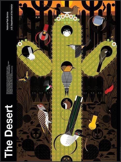 Charley Harper - Desert - National Park Poster - Framed