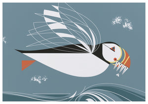 Charley Harper - The Name Is Puffin - Notecard