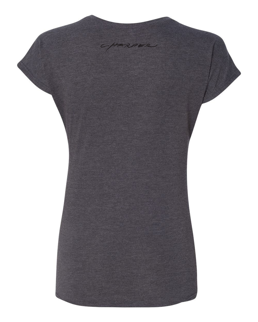 Charley Harper's Roving Raptors Adult Denim T-Shirt X-Large